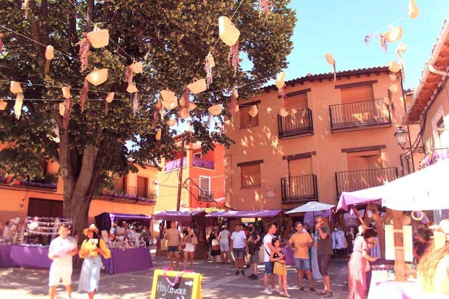 From Madrid: Day Trip to Brihuega Lavender Fields - The 90-minute ride from Madrid