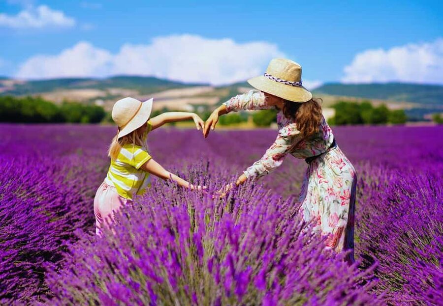 From Madrid: Day Trip to Brihuega Lavender Fields - What the hour in the fields is really like