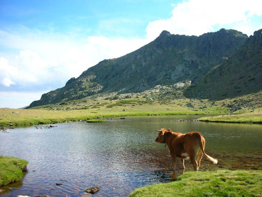 From Madrid: Day Trip to Guadarrama National Park - Key points to know before you book
