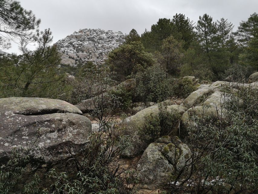 From Madrid: Day Trip to Guadarrama National Park - Puerto de Navacerrada and Puerto de Cotos