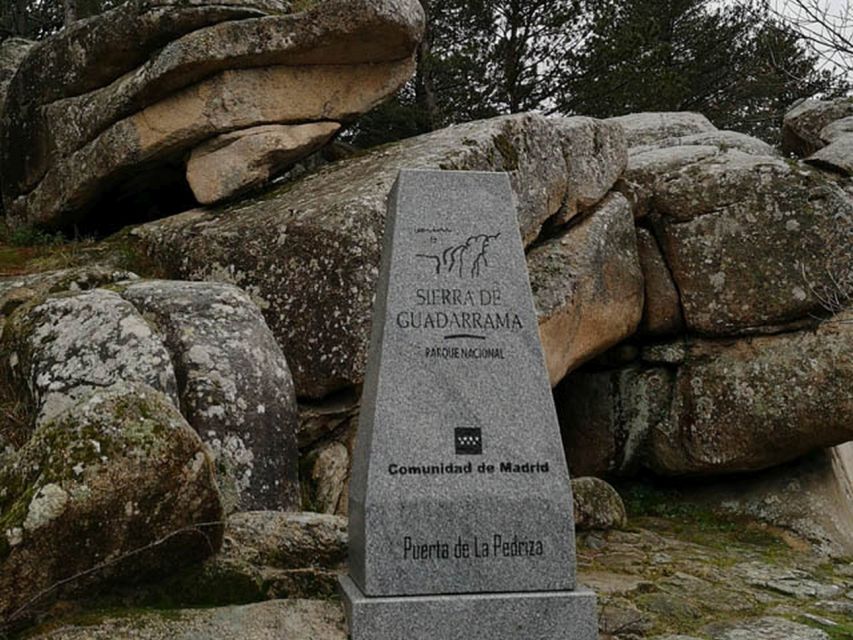 From Madrid: Day Trip to Guadarrama National Park - Wildlife, plants, and what you may actually see