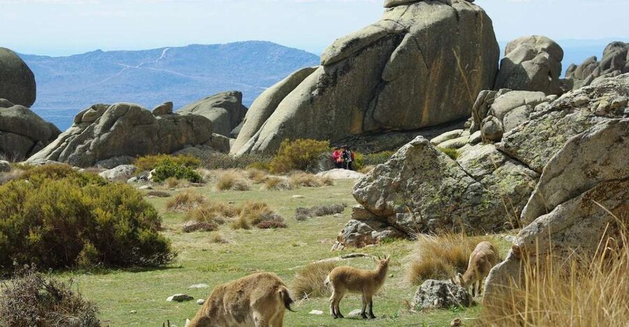 From Madrid: Sierra de Guadarrama Hiking Day Trip - From Madrid streets to granite peaks