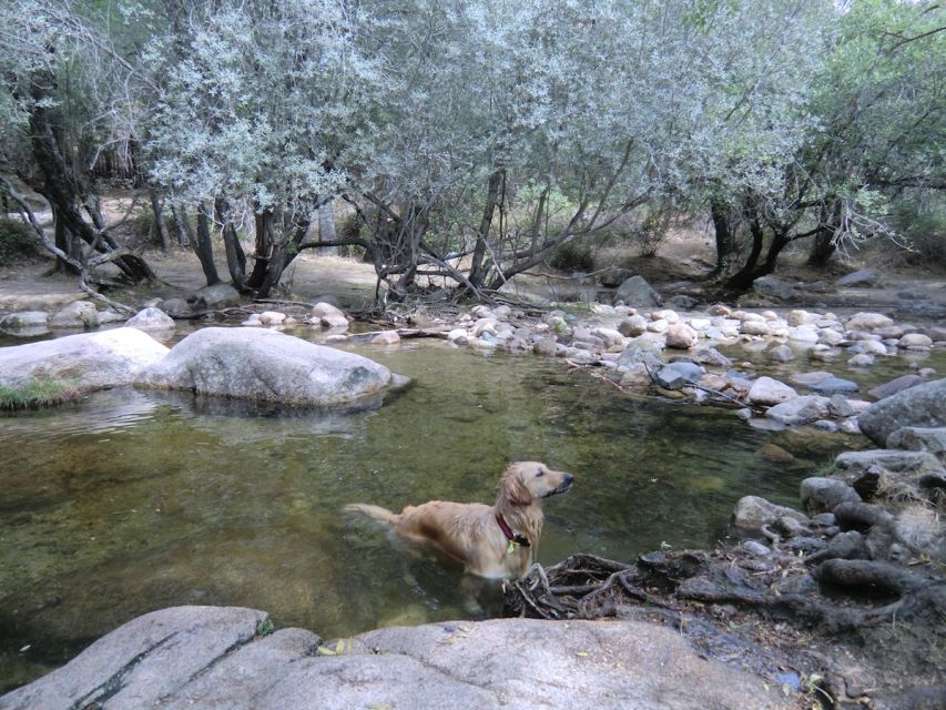 From Madrid: Sierra de Guadarrama Hiking Day Trip - Is $153 a fair price?