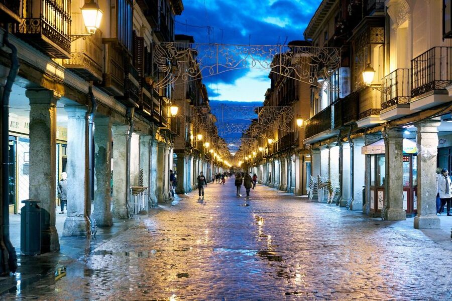 From Madrid: Toledo, Windmills & Alcala de Henares Day Trip - What the guide adds to the day
