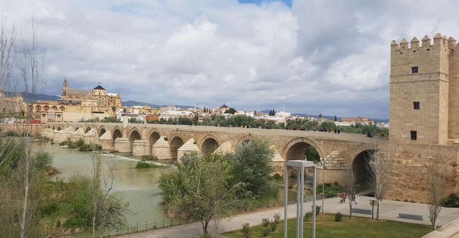 From Malaga and Costa Del Sol: Cordoba Day Trip - Why Córdoba makes a strong day trip from Málaga