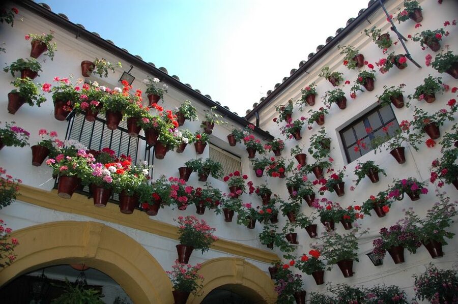 From Malaga and Costa Del Sol: Cordoba Day Trip - San Basilio patios and Andalusian food