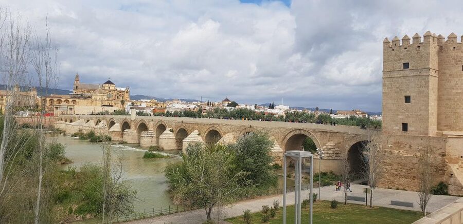 From Malaga and Costa Del Sol: Cordoba Day Trip - The bus ride from Málaga and the Costa del Sol
