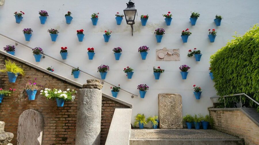 From Malaga: Cordoba Day Trip and Mosque-Cathedral - Why Cordoba makes a fine day from Malaga