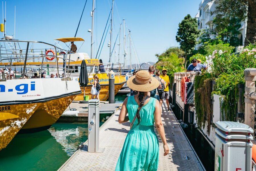 From Malaga: Day trip to Gibraltar and Dolphin Boat Tour - Should you book this Gibraltar and dolphin tour?