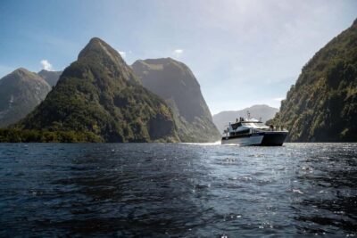 From Manapouri: Doubtful Sound Wilderness Day Trip