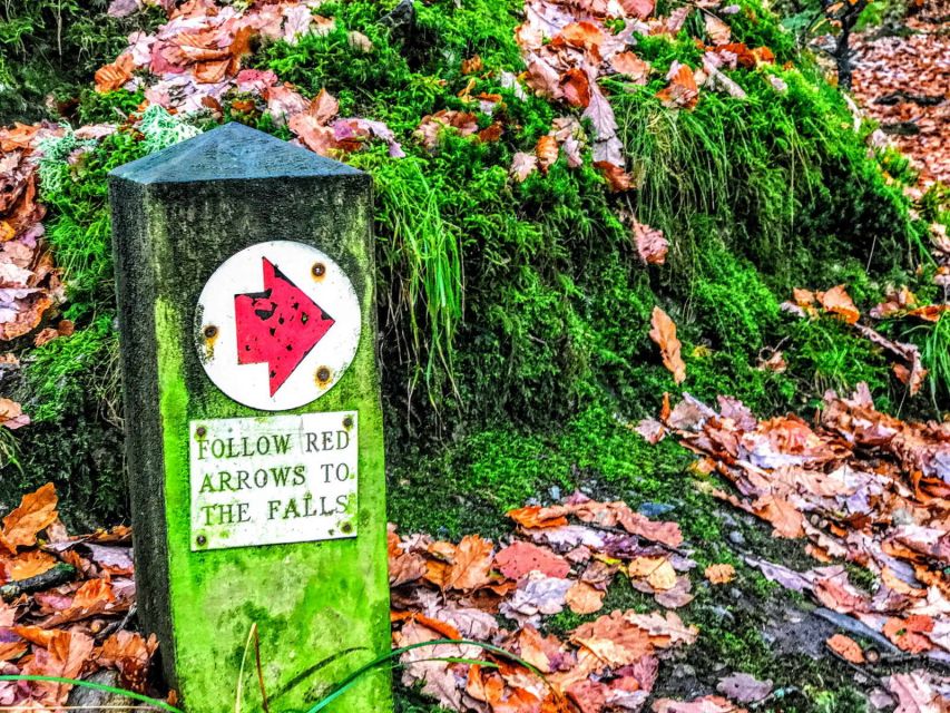 From Manchester: Lake District Sightseeing Day Trip - Practical details before you reserve