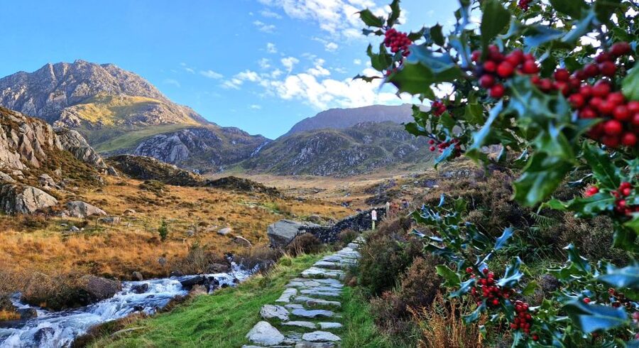 From Manchester: North Wales and Caernarfon Castle Day Trip - Betws-y-Coed finishes with village time