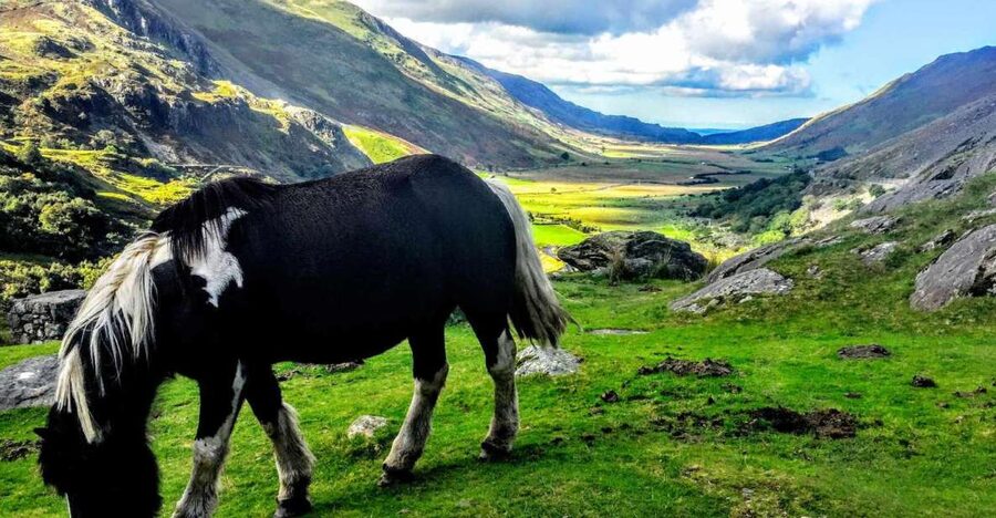 From Manchester: North Wales Sightseeing Adventure Day Trip - How the timing shapes your day