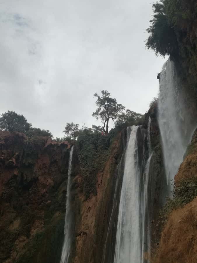 From Marrakech: A day Trip to Ouzoud waterfalls - Barbary macaques around the paths