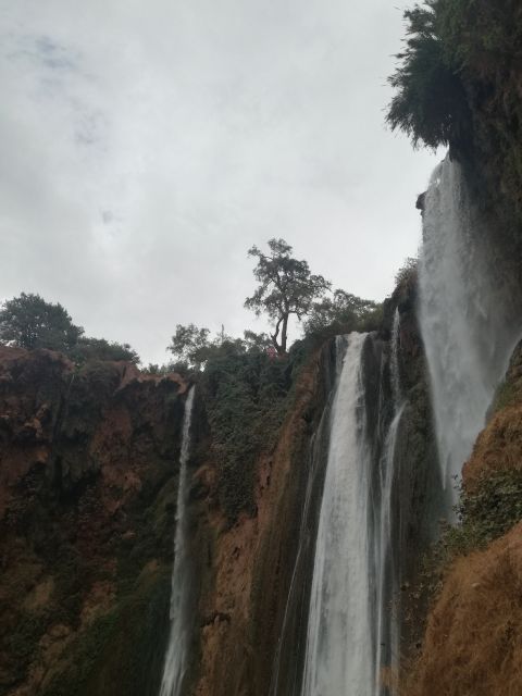 From Marrakech: A day Trip to Ouzoud waterfalls - Guides who shape the day