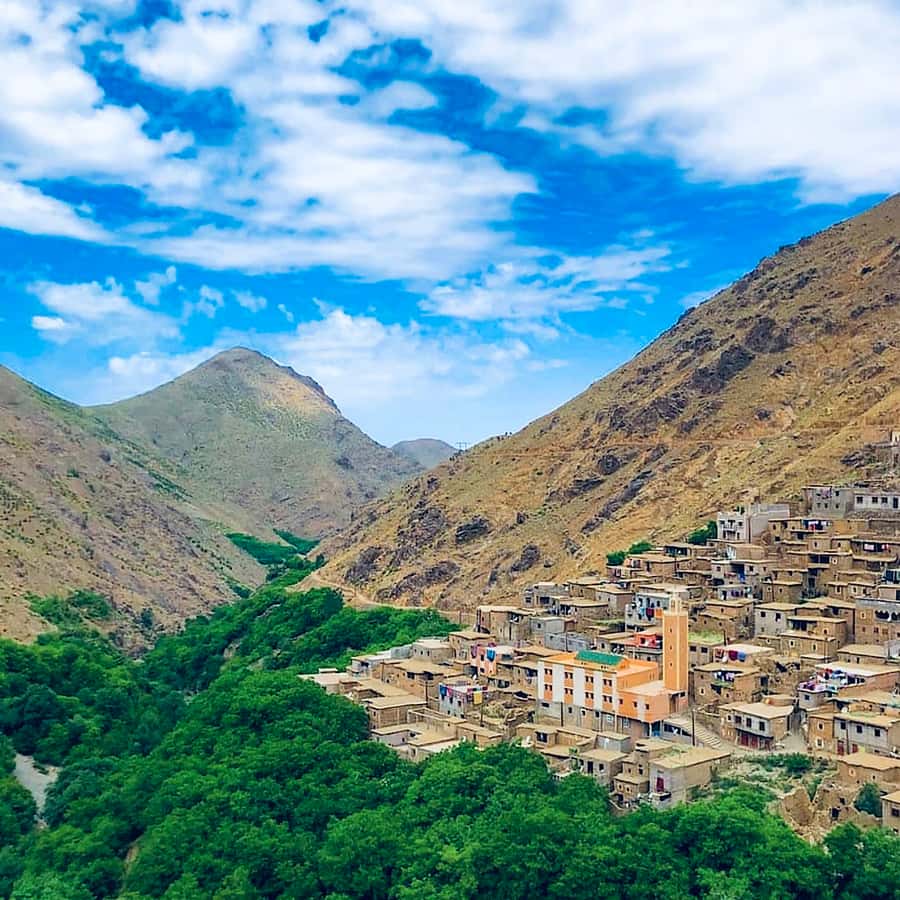 From Marrakech: Atlas Mountains and Berber Village Day Trip - Key points to know before you book
