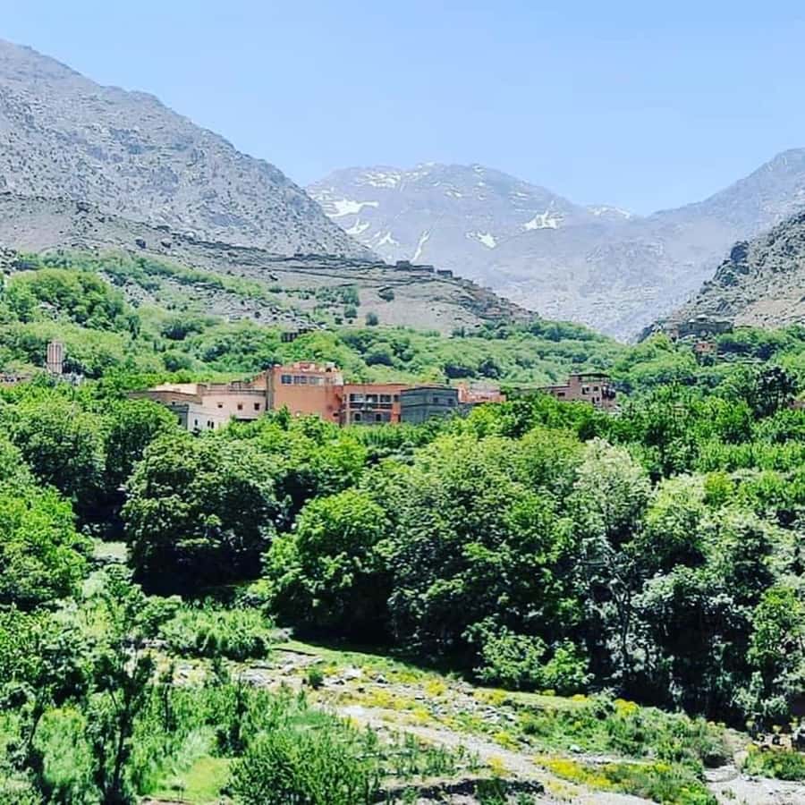 From Marrakech: Atlas Mountains and Berber Village Day Trip - Ouanskra, walnut trees, and a small mountain spring