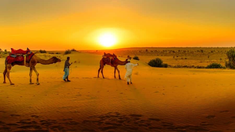 From Marrakech: Atlas Mountains and Three Valleys Day Trip - Key points to know