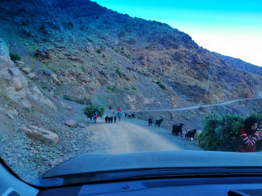 From Marrakech: Atlas Mountains and Three Valleys Day Trip - Lunch in a Berber family home