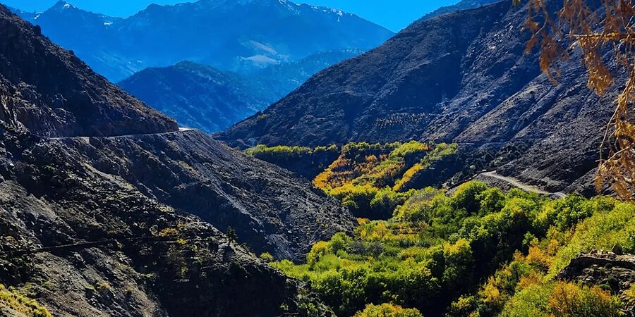 From Marrakech: Atlas Mountains Day Trip with Camel Ride - The return to Marrakech