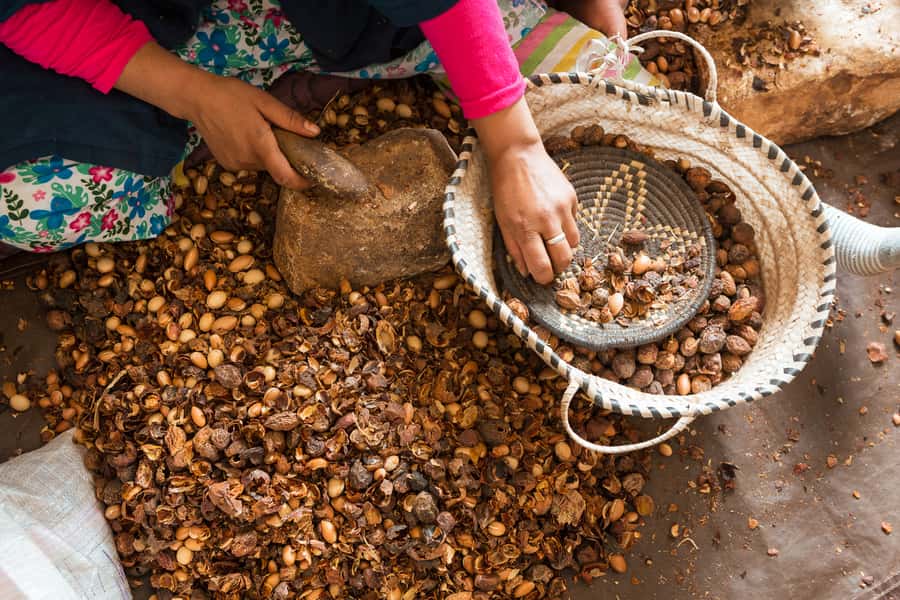 From Marrakech: Atlas Mountains Day Trip with Camel Ride - Tahnaout and the argan oil stop