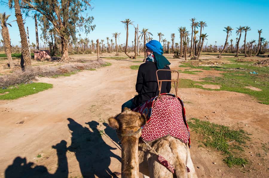 From Marrakech: Camel Ride, Quad Bike & Spa Full-Day Trip - Three very different sides of Marrakech in one day