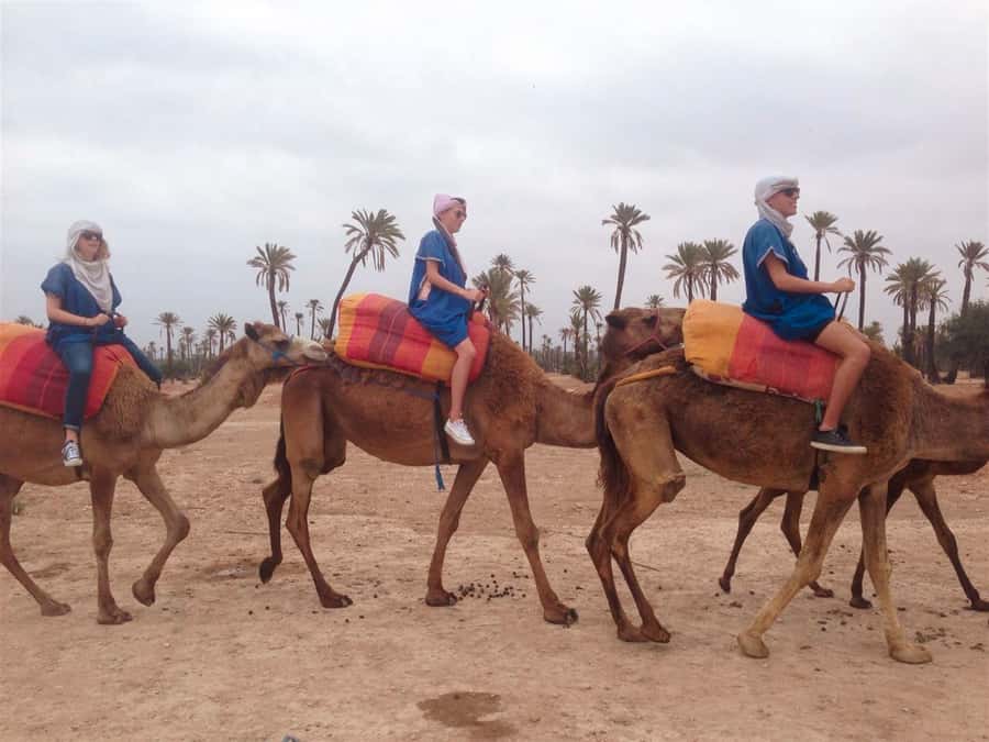 From Marrakech: Camel Ride, Quad Bike & Spa Full-Day Trip - Mint tea and a local family visit