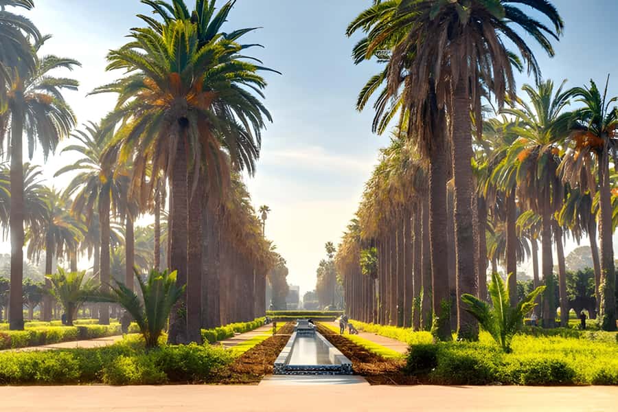 From Marrakech: Casablanca Day Trip by van - A short walk by Casablanca’s Atlantic shore