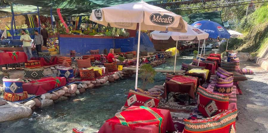From Marrakech: Day Trip Ourika Valley, High Atlas Mountains - What the argan oil cooperative adds