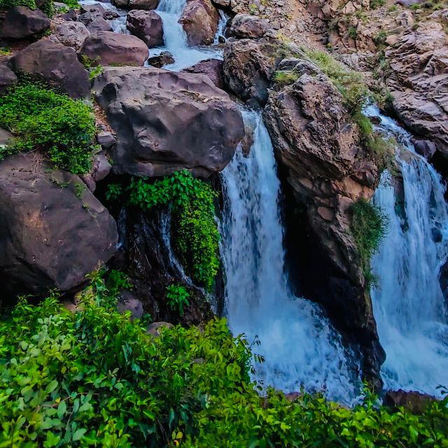 From Marrakech: Day Trip to Anima Garden and Imlil Valley - Should you book the Anima Garden and Imlil trip?