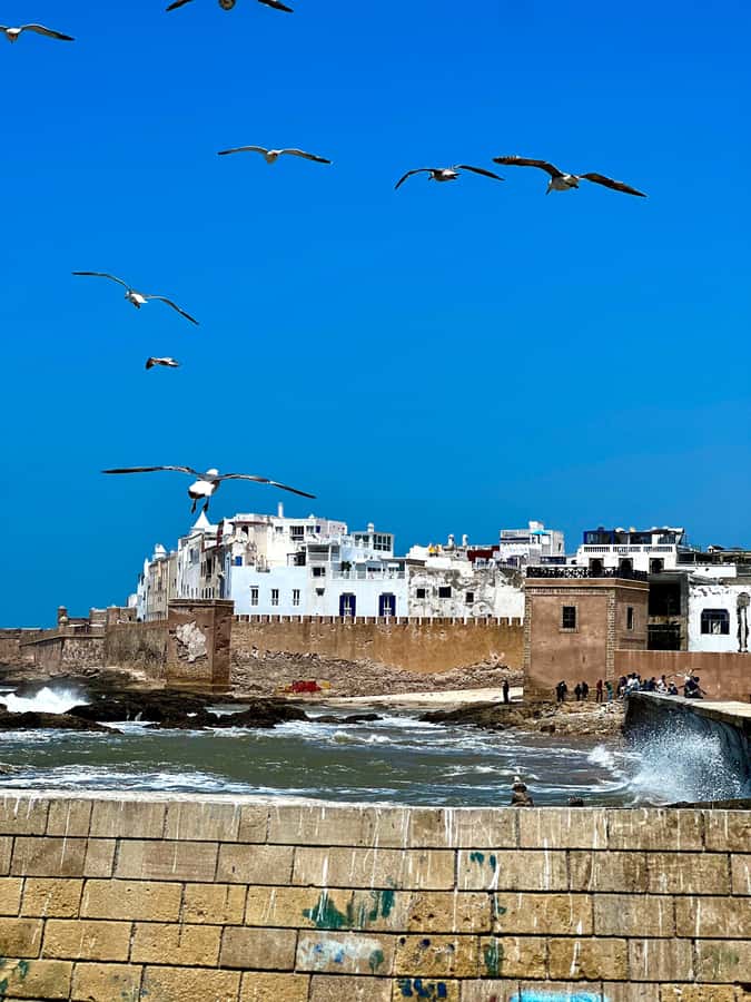 From Marrakech: Day Trip to Essaouira with Transfers - Why Essaouira is worth the long ride from Marrakech