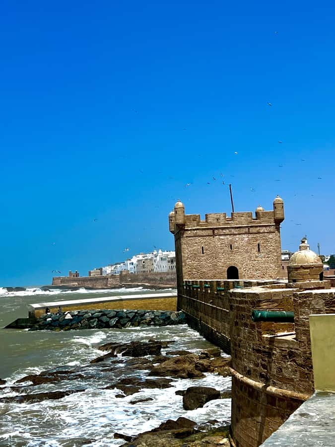 From Marrakech: Day Trip to Essaouira with Transfers - The argan cooperative near Ounagha