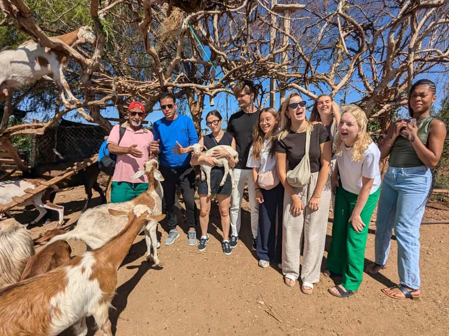 From Marrakech: Day Trip to Essaouira with Transfers - Beach time, swimming, and the Atlantic wind