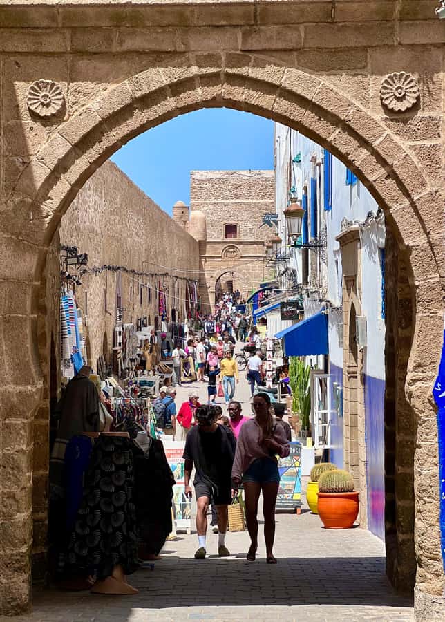 From Marrakech: Day Trip to Essaouira with Transfers - The return drive to Marrakech