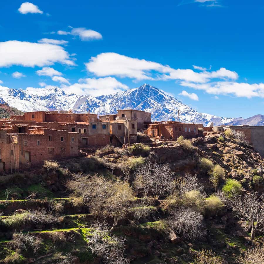 From Marrakech: Day Trip to Ourika Valley with Waterfalls - Who should book this Atlas Mountains trip