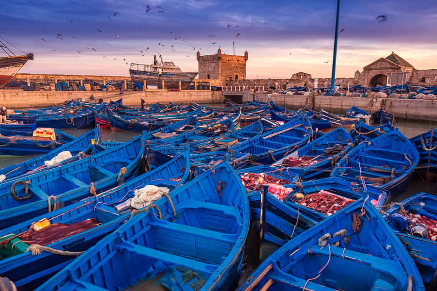 From Marrakech: Essaouira & Atlantic Coast Full-Day Trip - Reaching Essaouira’s beach and medina