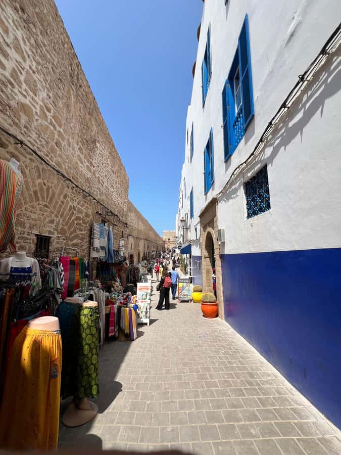From Marrakech: Essaouira Coastal City Day Trip - The argan oil cooperative and the countryside stops