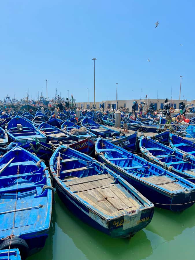 From Marrakech: Essaouira Coastal City Day Trip - Four hours to find the best of Essaouira