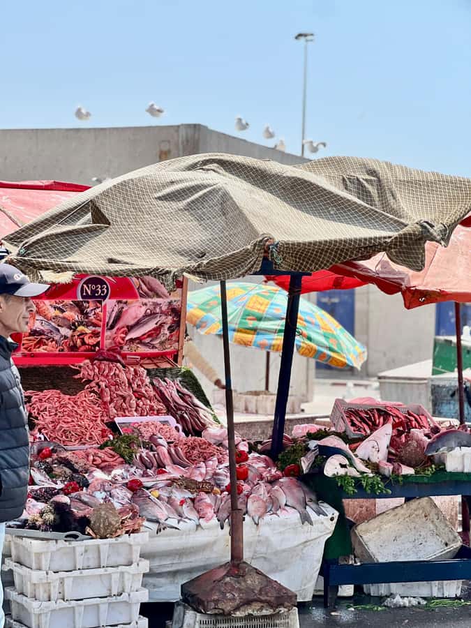 From Marrakech: Essaouira Coastal City Day Trip - Is the $10 price really good value?