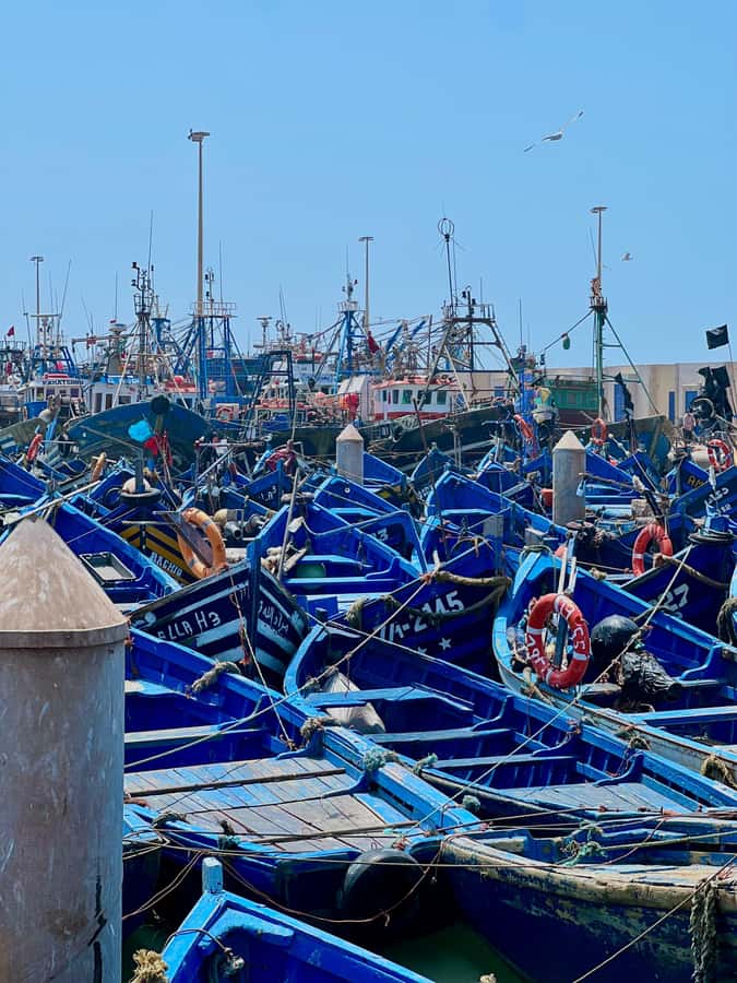 From Marrakech: Essaouira Coastal City Day Trip - The long road from Marrakech to the Atlantic