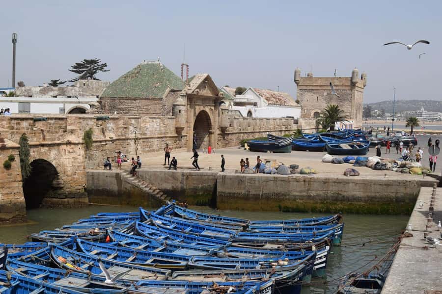 From Marrakech: Essaouira Coastal Escape with Lunch - Is the $8 price good value?