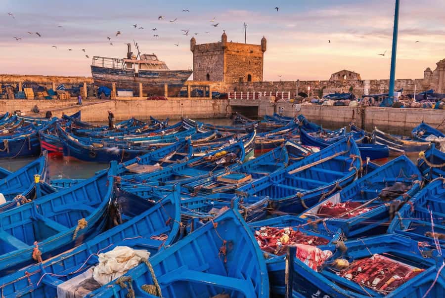 From Marrakech: Essaouira Coastal Escape with Lunch - The first viewpoint and tea stop