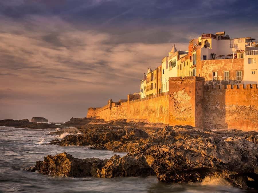 From Marrakech: Essaouira Coastal Escape with Lunch - What the argan cooperative adds
