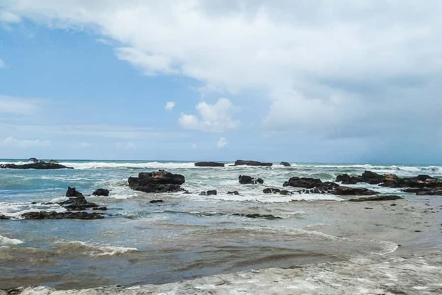 From Marrakech: Essaouira Day Tour with Optional Activities - The return journey and shared-van realities