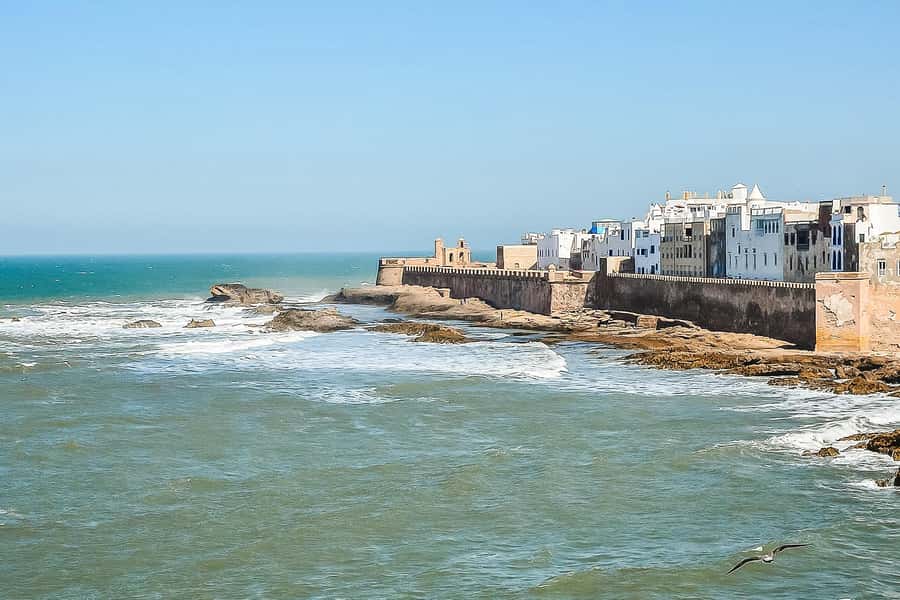 From Marrakech: Essaouira Day Tour with Optional Activities - Arriving at the port and Moulay El Hassan Square