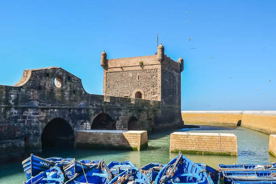 From Marrakech: Essaouira Day Tour with Optional Activities - Seafood lunch is a highlight, but budget for it
