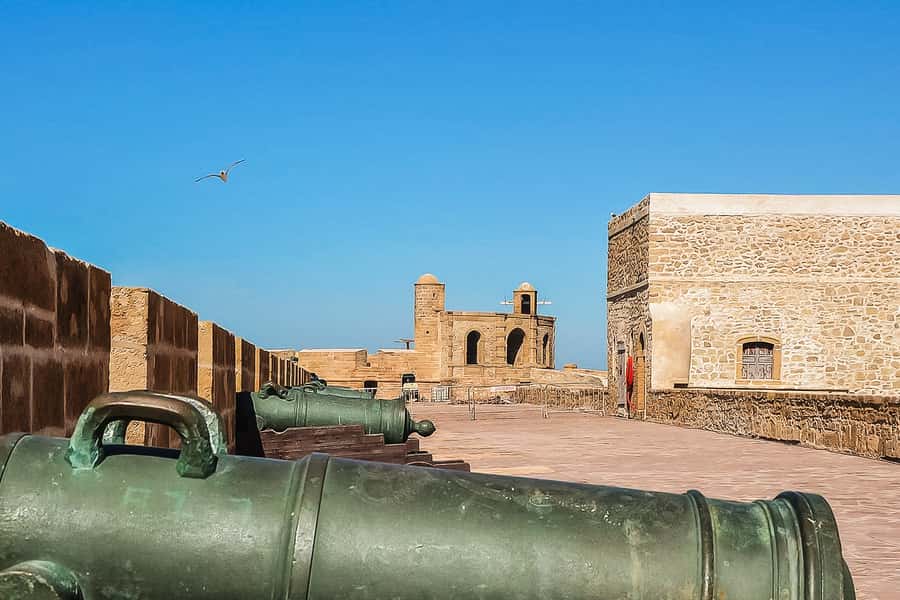 From Marrakech: Essaouira Day Tour with Optional Activities - What the driver adds to the experience