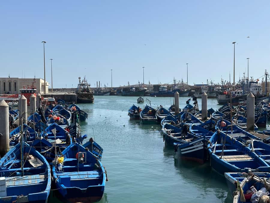 From Marrakech: Essaouira day Trip with camel, horse & quad - Seeing how argan oil is made