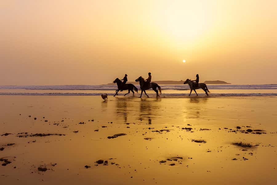 From Marrakech: Essaouira day Trip with camel, horse & quad - Four hours among Essaouira’s port and medina