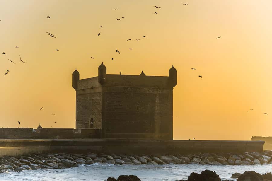 From Marrakech: Essaouira day Trip with camel, horse & quad - Is $20 good value for a 12-hour day?